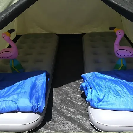 Campsite Ibiza Camp
